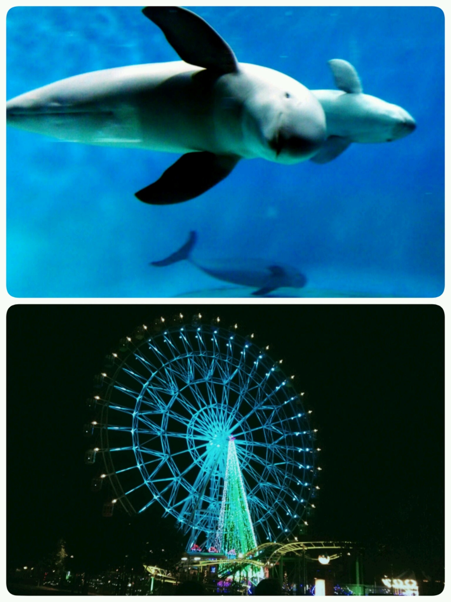 水族館