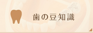 歯の豆知識
