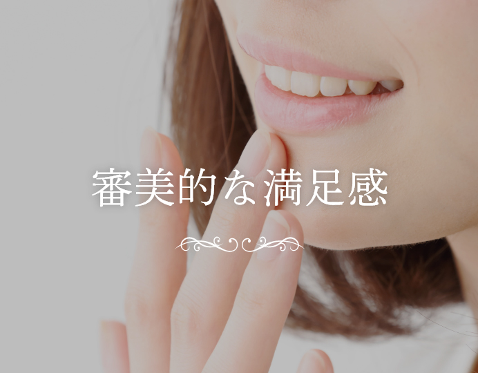 審美的な満足感